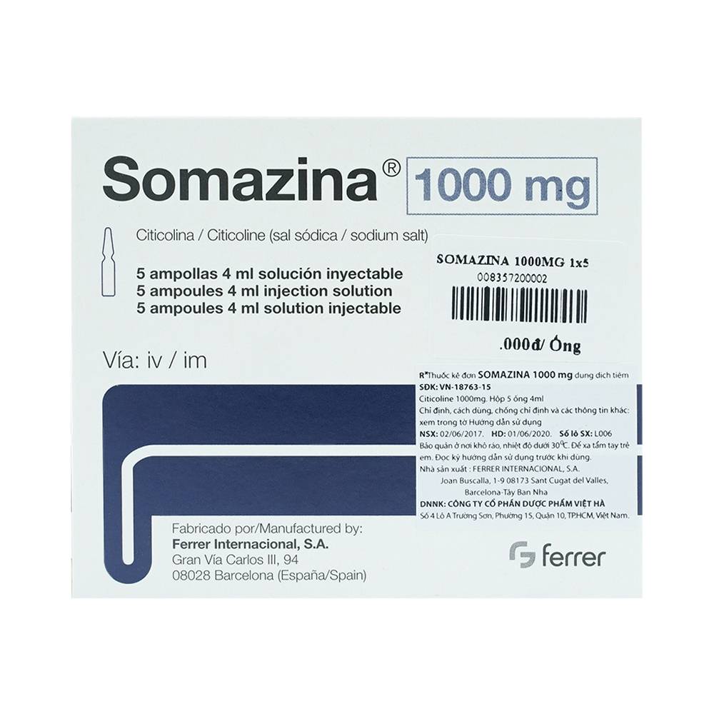 Somazina điều trị tai biến, có thể thay thế bằng thuốc nào?