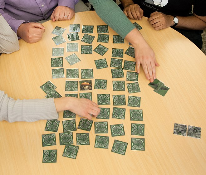 Tập trung, còn được gọi là Matching Pairs là một trò chơi bài với mục tiêu lật các cặp thẻ phù hợp.